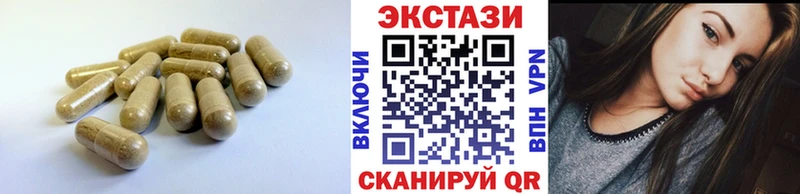 дарк нет какой сайт  Старая Русса  ЭКСТАЗИ TESLA 