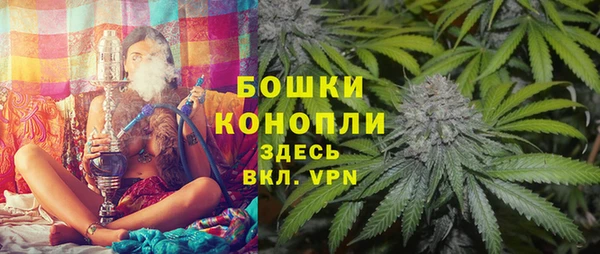стафф Семёнов