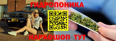 соль ск Дубна