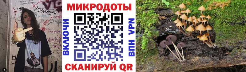 кракен ССЫЛКА  Старая Русса  Галлюциногенные грибы мицелий 