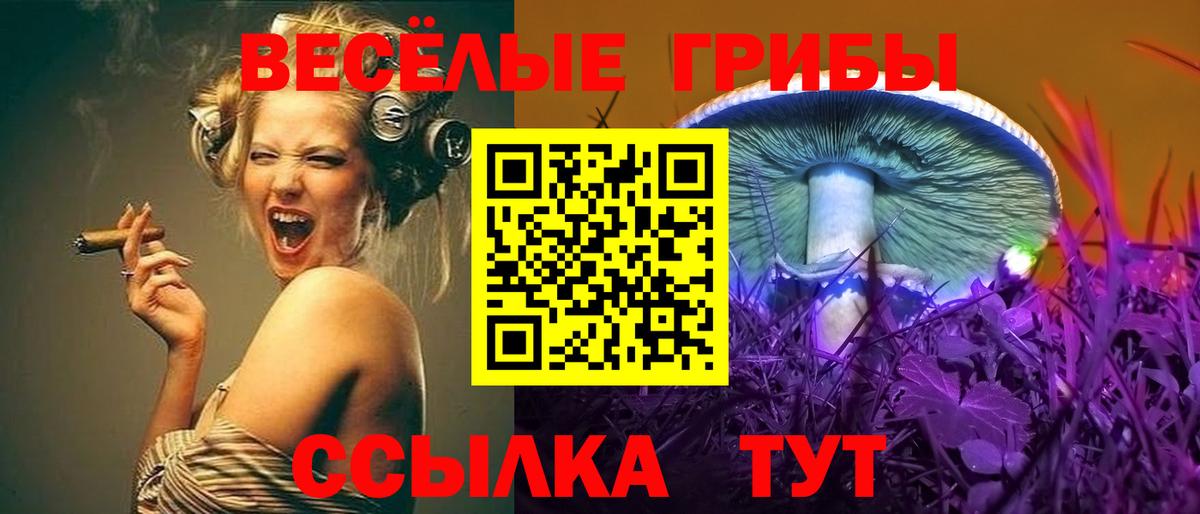 Галлюциногенные грибы прущие грибы  Псилоцибиновые грибы мицелий  Старая Русса  Вход с VPN 