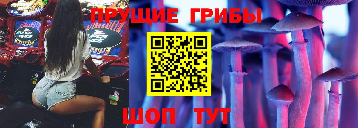 Псилоцибиновые грибы Psilocybine cubensis Старая Русса